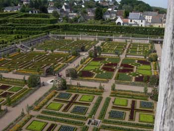 loire (394).jpg